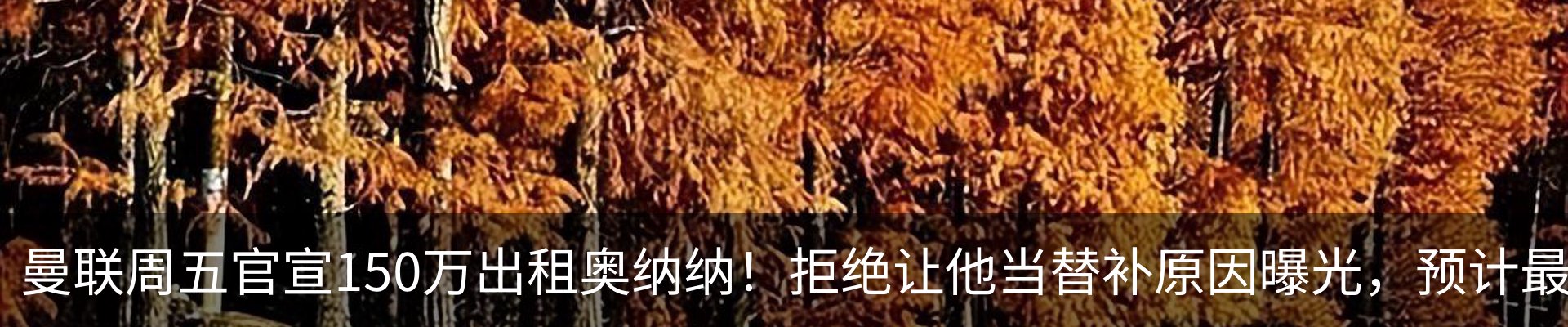 内页banner