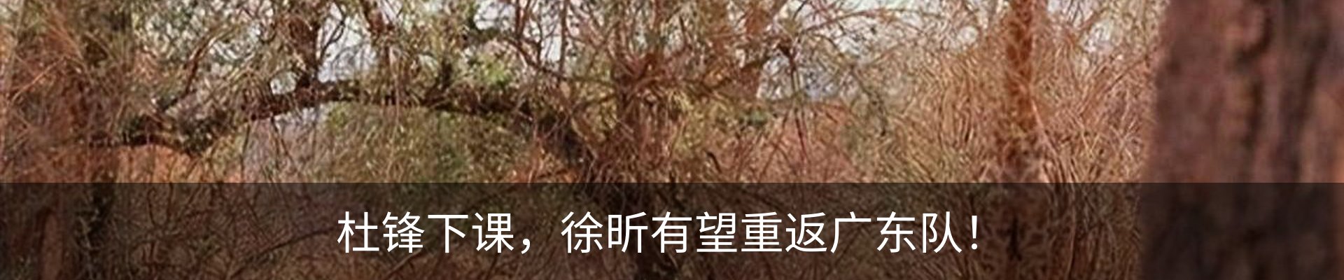 内页banner